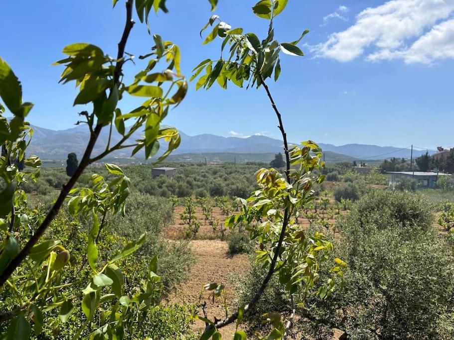 Aristea'S Home Αρκαλοχώρι Εξωτερικό φωτογραφία